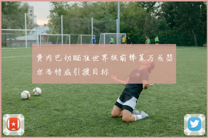 费内巴切瞄准世界级前锋莱万或瑟尔洛特成引援目标