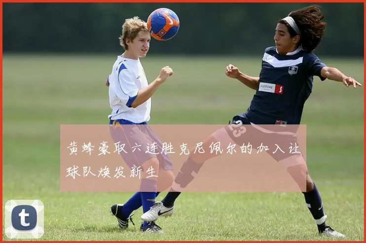 黄蜂豪取六连胜克尼佩尔的加入让球队焕发新生