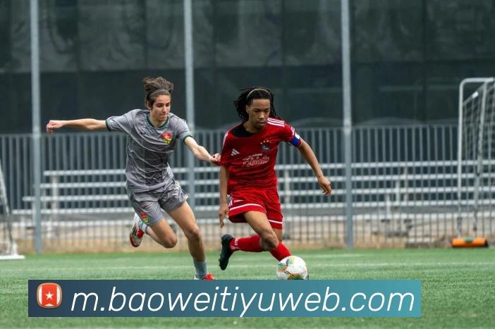 宝威体育平台生态图